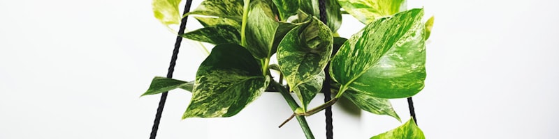 足球比赛数据统计图表展示，包括控球率、射门次数等